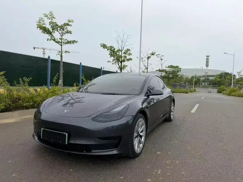 Model 3 2021 Standard Range Rear-Wheel Drive Upgrade 3D6 — миниатюра 1