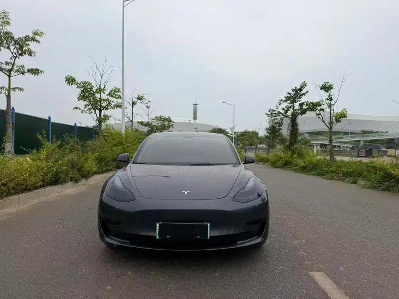 Model 3 2021 Standard Range Rear-Wheel Drive Upgrade 3D6 — миниатюра 2
