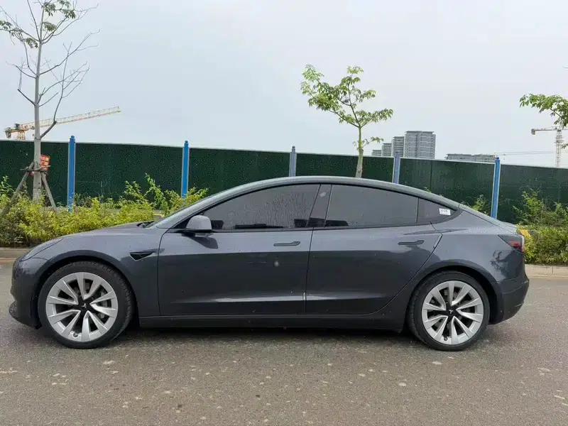 Model 3 2021 Standard Range Rear-Wheel Drive Upgrade 3D6 — миниатюра 3