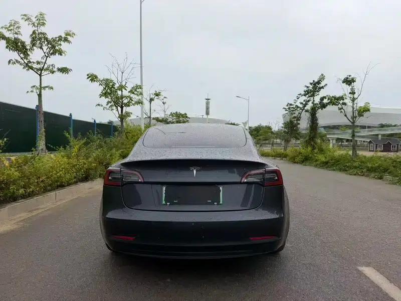 Model 3 2021 Standard Range Rear-Wheel Drive Upgrade 3D6 — миниатюра 4