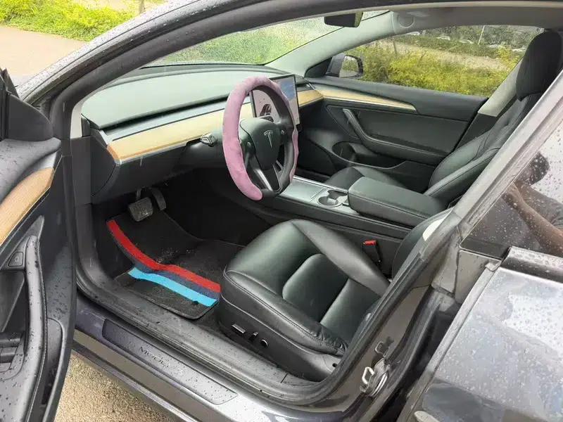 Model 3 2021 Standard Range Rear-Wheel Drive Upgrade 3D6 — миниатюра 8