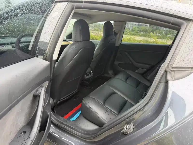 Model 3 2021 Standard Range Rear-Wheel Drive Upgrade 3D6 — миниатюра 9