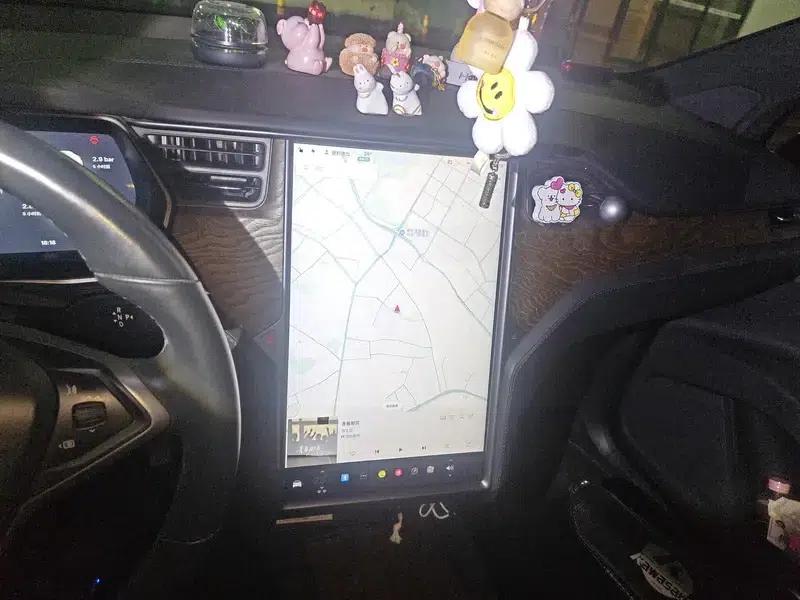 Model X 2019 Long Range — миниатюра 12