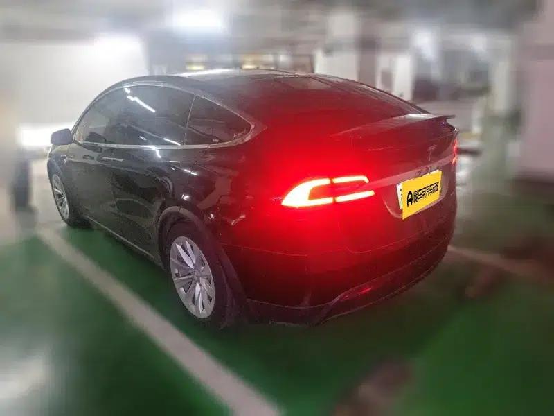 Model X 2019 Long Range — миниатюра 6