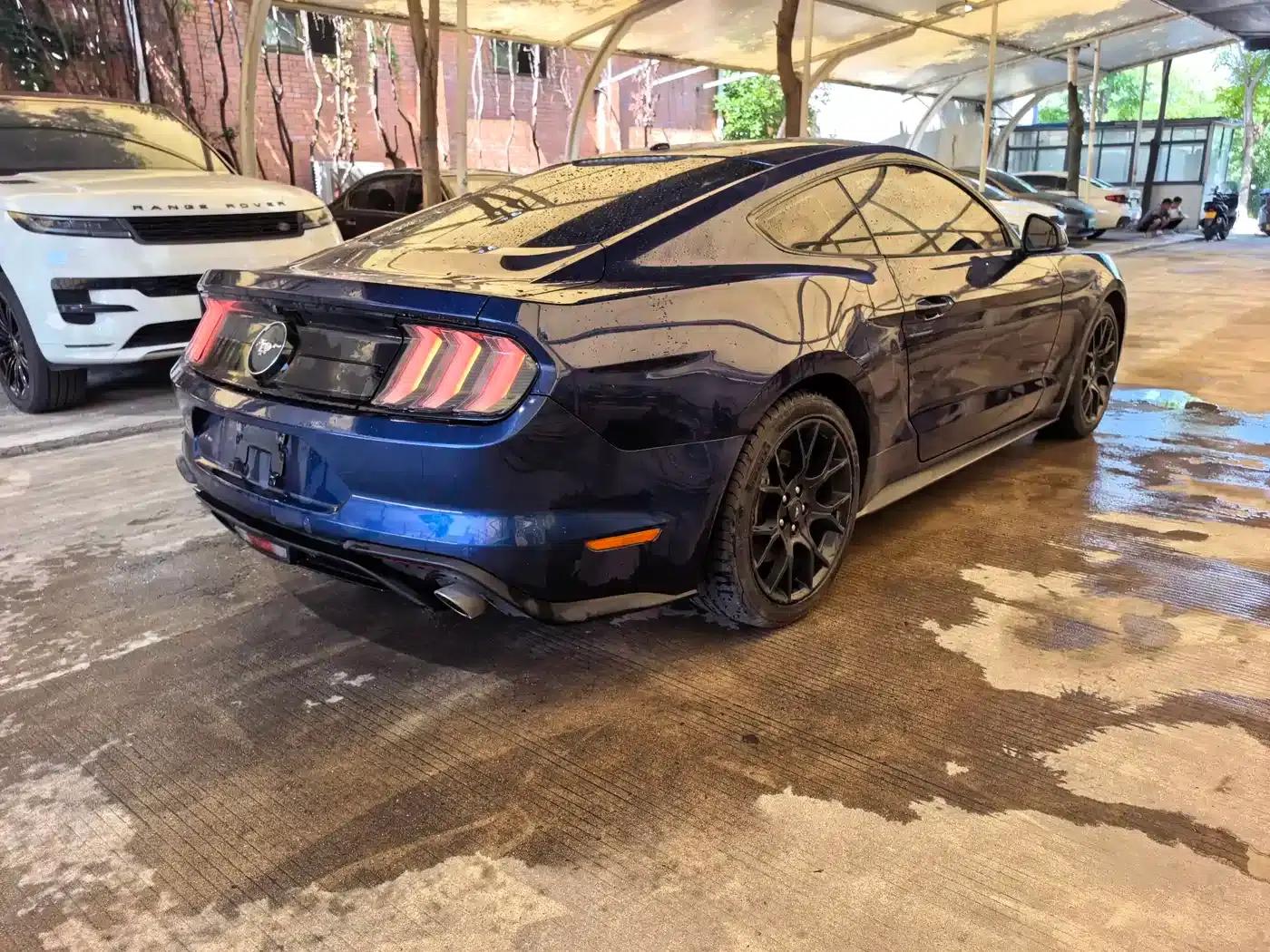 2019 Mustang 2.3L EcoBoost — миниатюра 11