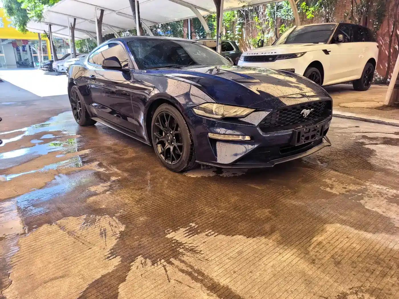 2019 Mustang 2.3L EcoBoost — миниатюра 3
