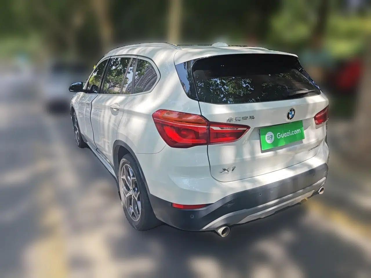 BMW X1 2019 xDrive20Li Luxury Model — миниатюра 4