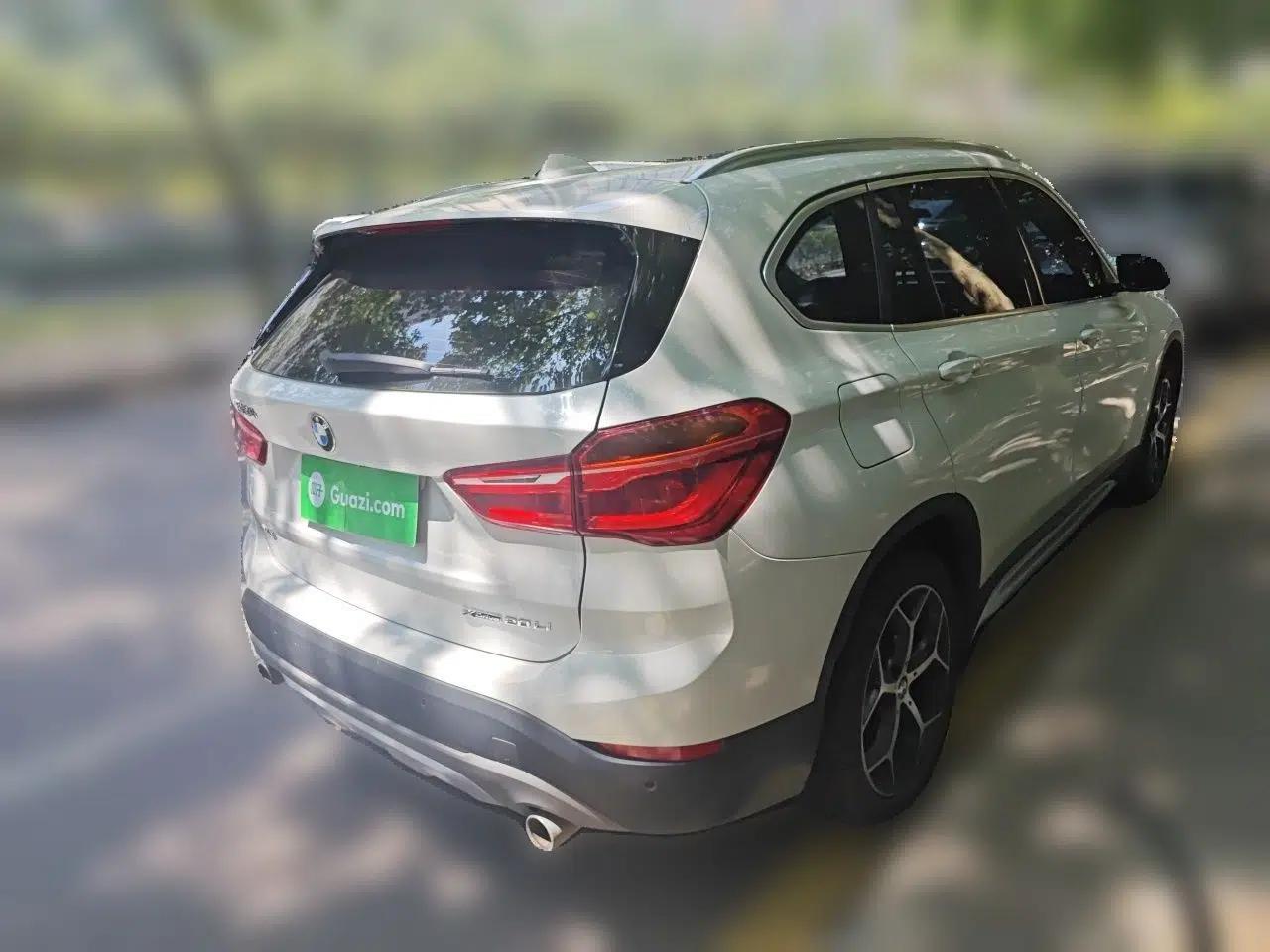 BMW X1 2019 xDrive20Li Luxury Model — миниатюра 6