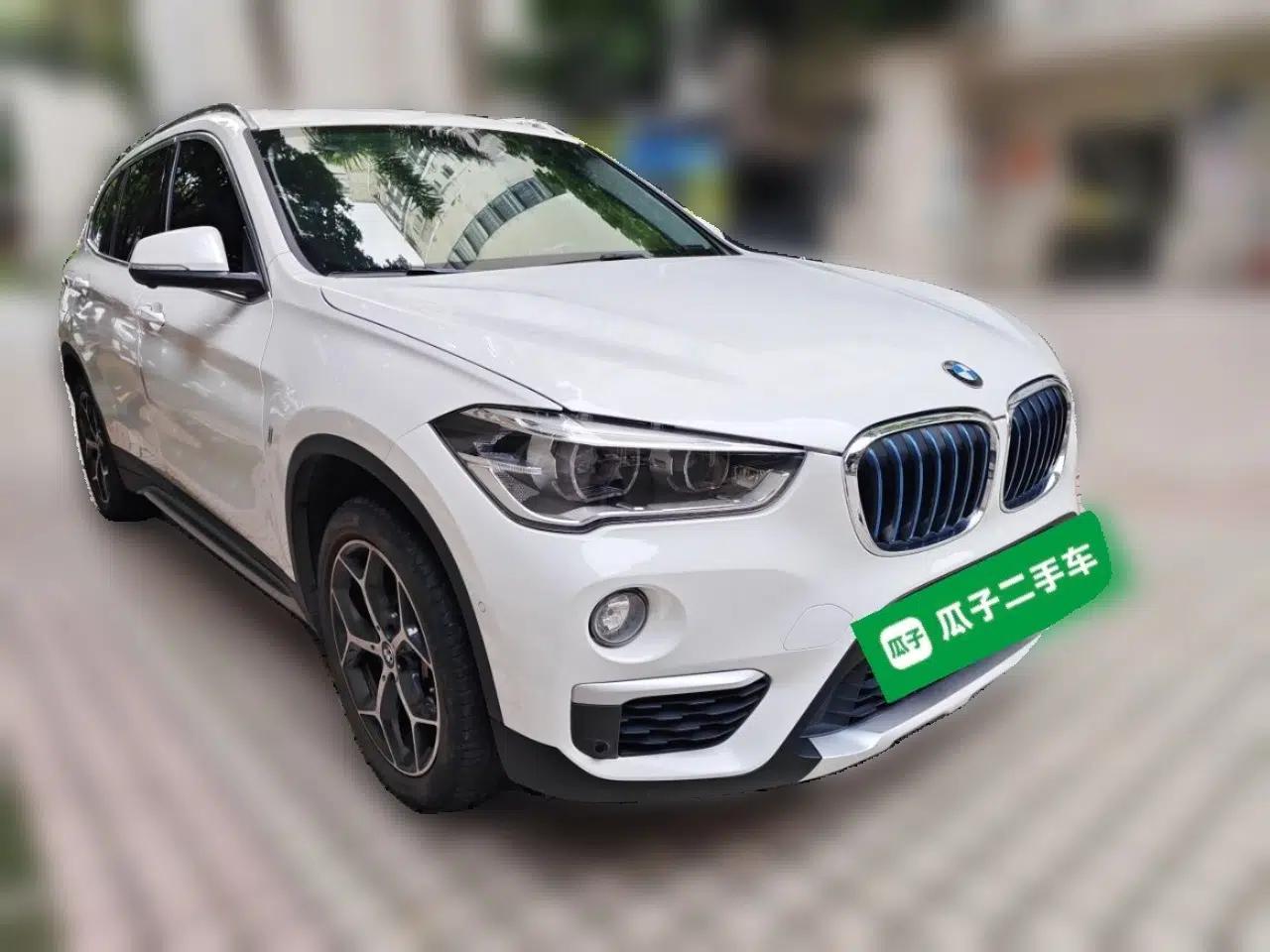 BMW X1 New Energy 2018 xDrive25Le Luxury Model — миниатюра 3