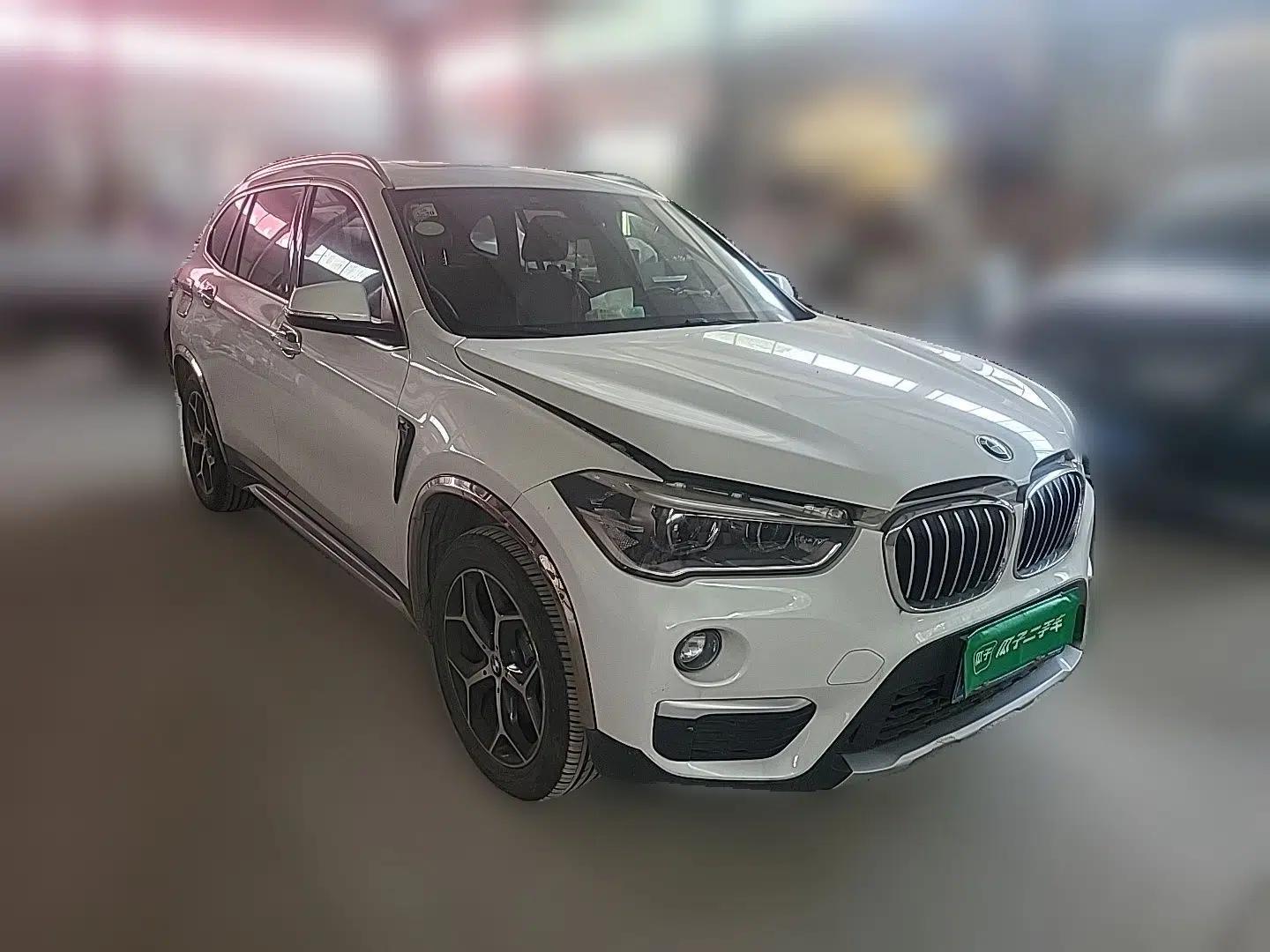 BMW X1 2018 xDrive20Li Luxury Edition — миниатюра 3