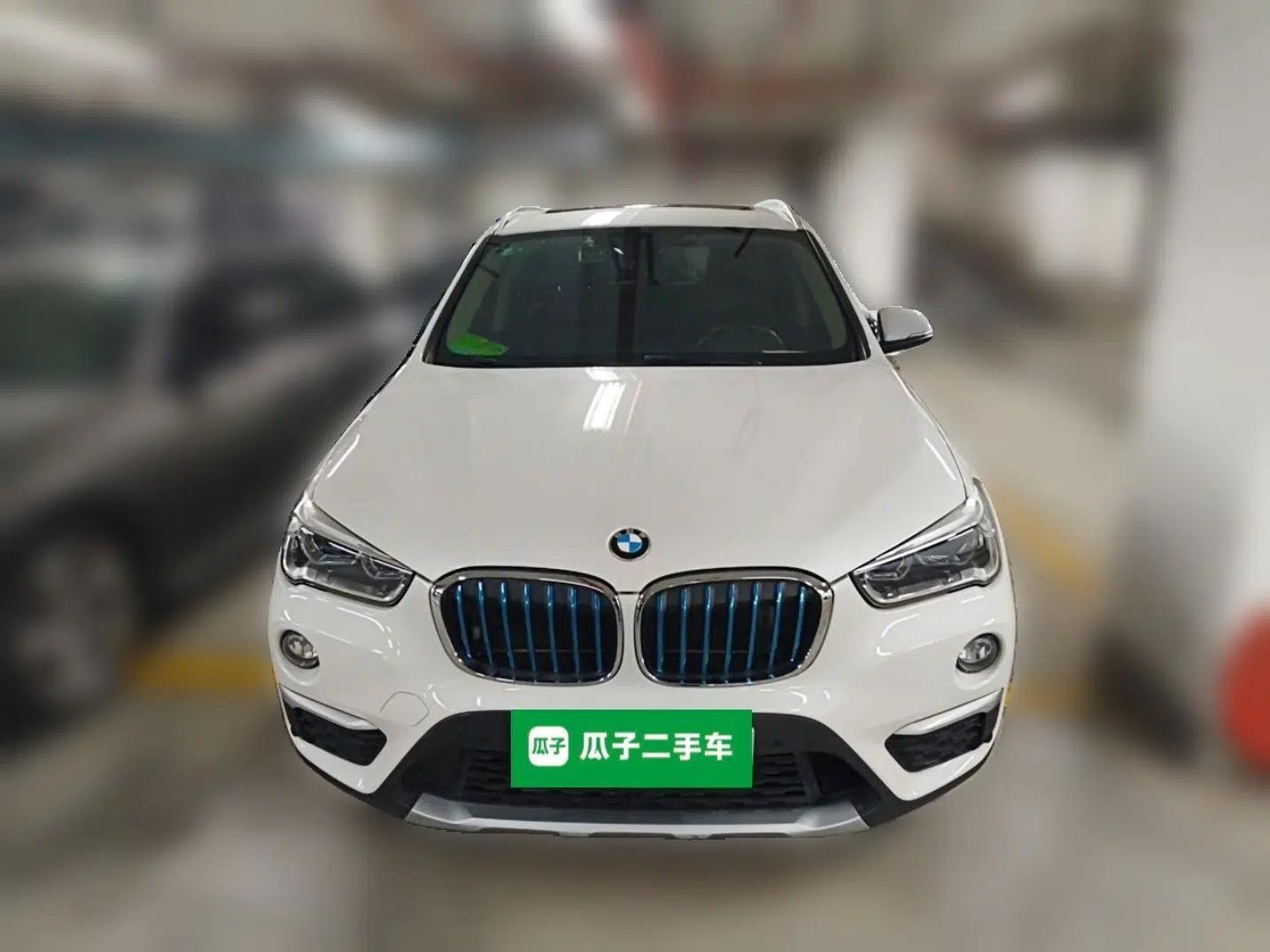 BMW X1 New Energy 2018 xDrive25Le Luxury Model — миниатюра 2