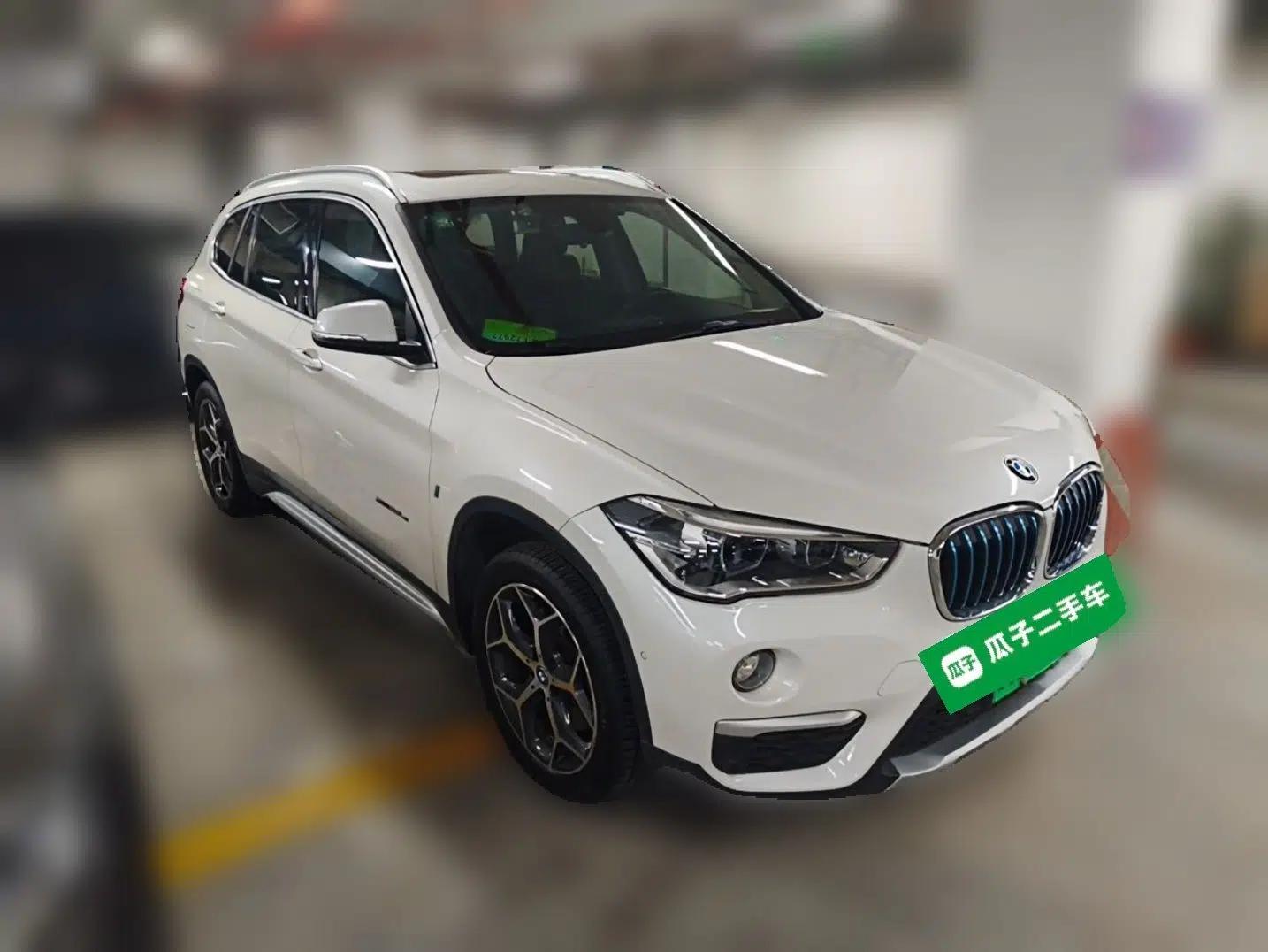 BMW X1 New Energy 2018 xDrive25Le Luxury Model — миниатюра 3