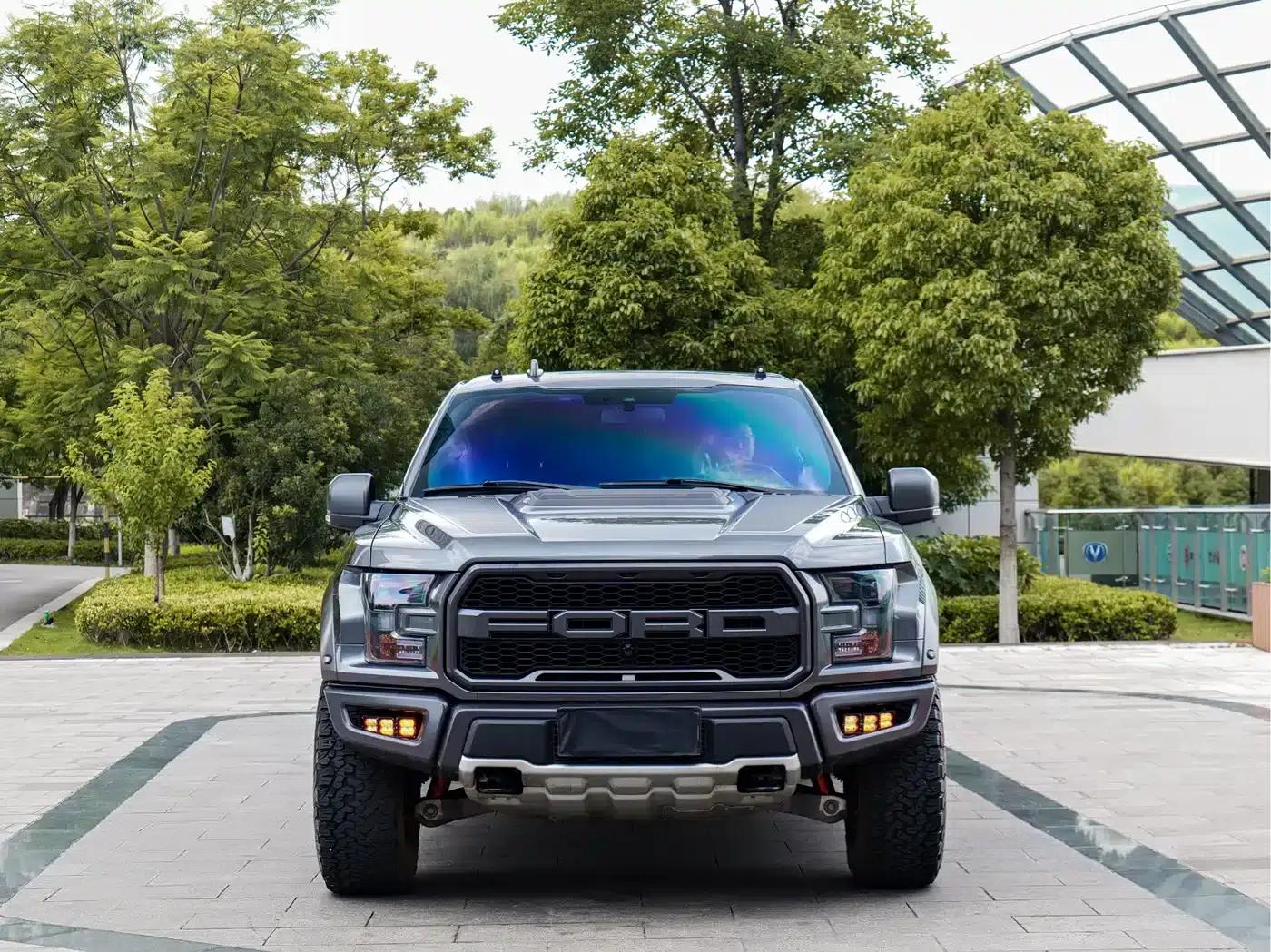 2019 Ford F-150 Raptor 3.5T Raptor Performance Enhanced Edition — миниатюра 2