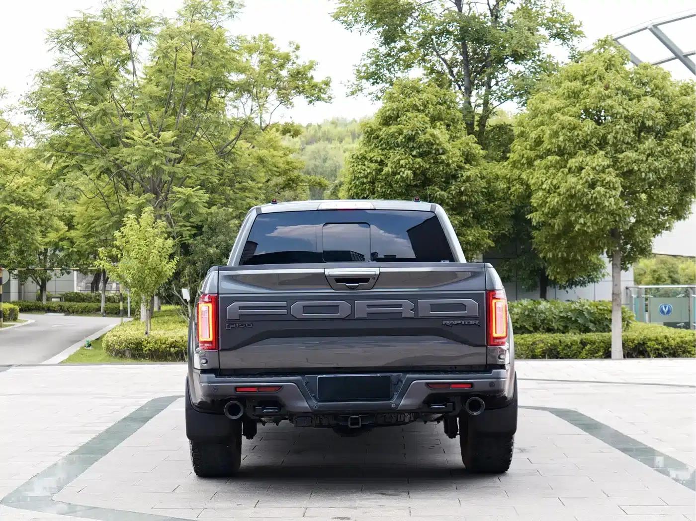 2019 Ford F-150 Raptor 3.5T Raptor Performance Enhanced Edition — миниатюра 5