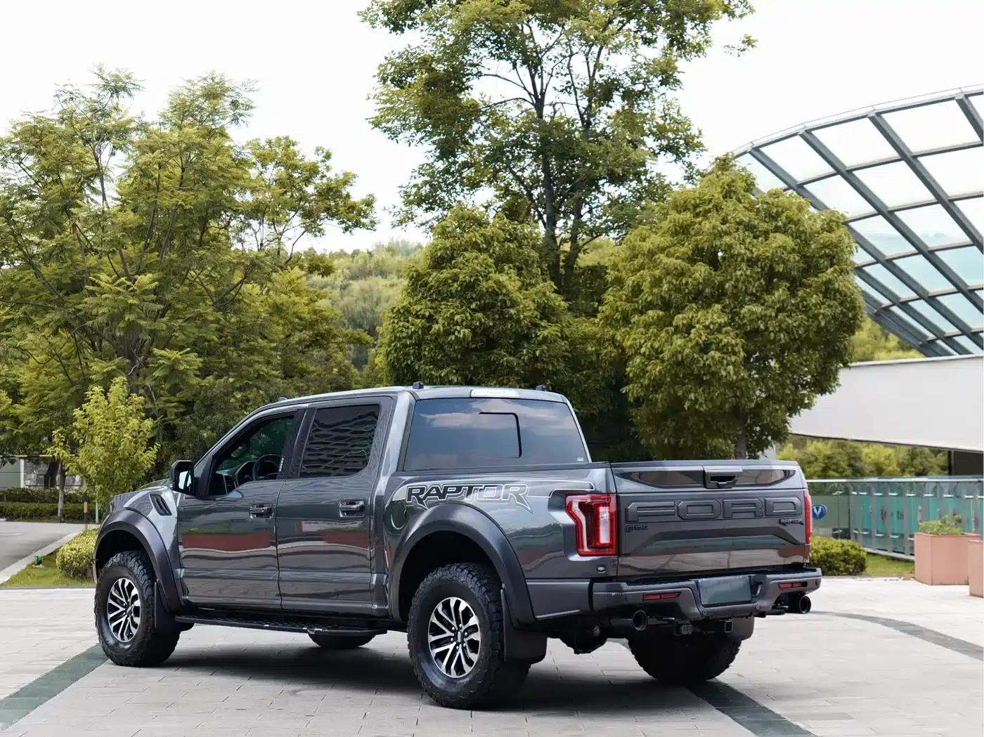 2019 Ford F-150 Raptor 3.5T Raptor Performance Enhanced Edition — миниатюра 6
