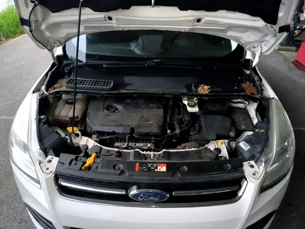 Ford Kuga 2015 1.5L GTDi 2WD Comfort Model — миниатюра 20