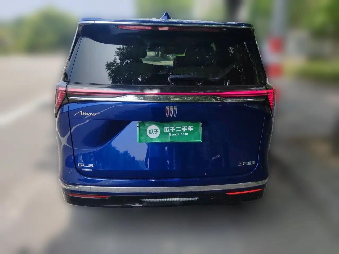 Buick GL8 New Energy 2024 Lu Zun Luxury Edition 6-Seater — миниатюра 5