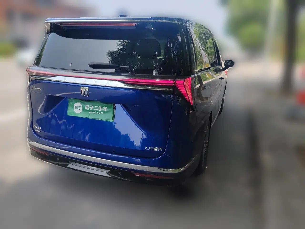 Buick GL8 New Energy 2024 Lu Zun Luxury Edition 6-Seater — миниатюра 6