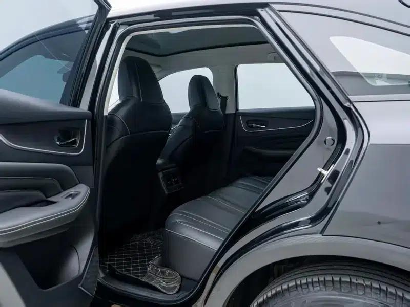 Venucia V2023 260T Black Horse Edition Pro — миниатюра 18