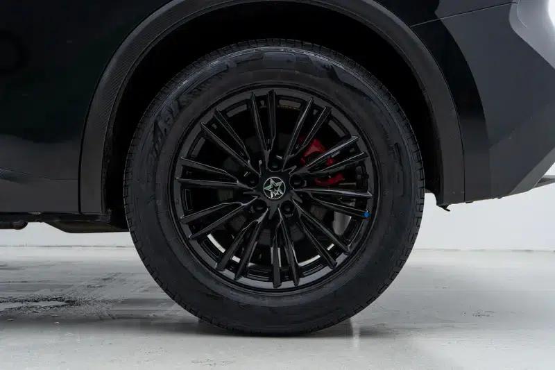 Venucia V2023 260T Black Horse Edition Pro — миниатюра 9