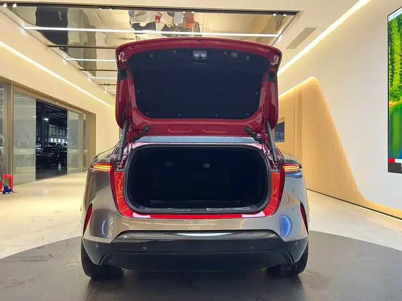 Avita 11 2022 Model, Extended Range Dual Motor Luxury Edition, 4-Seater — миниатюра 10