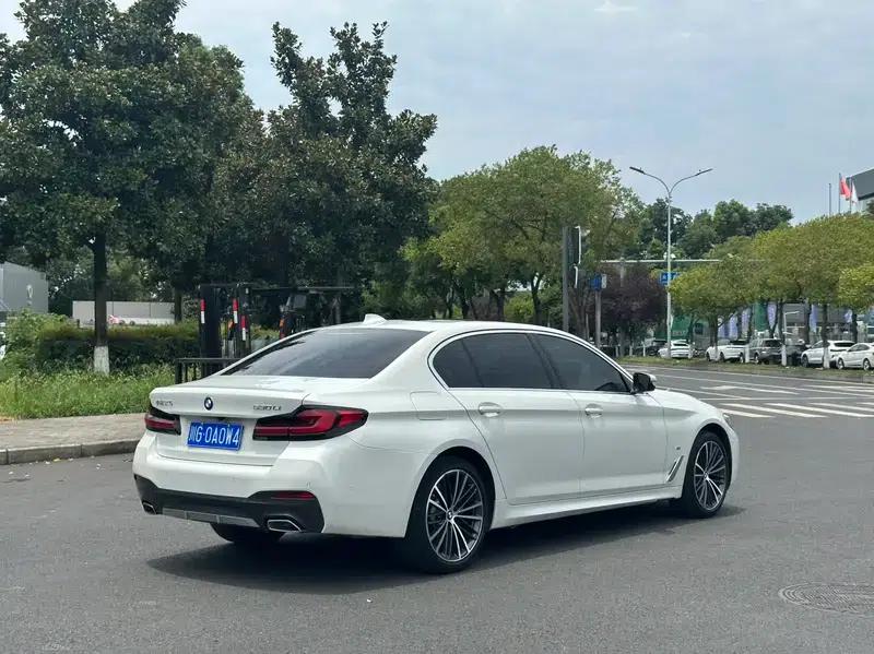 2021 BMW 5 Series 530Li Leading Edition M Sport Package — миниатюра 6