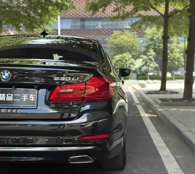 BMW 5 Series 2019 530Li Leading Luxury Package — миниатюра 9
