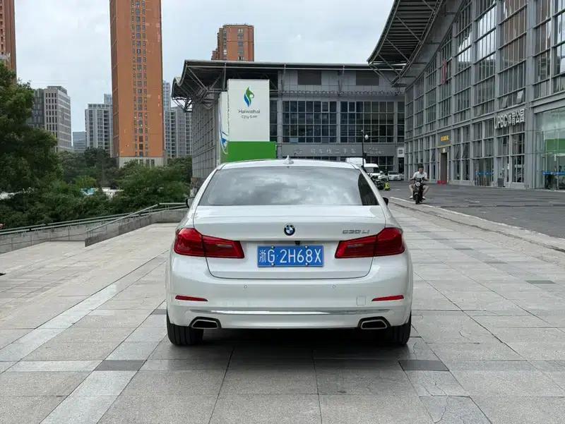 BMW 5 Series 2020 530Li Leading Luxury Package — миниатюра 5
