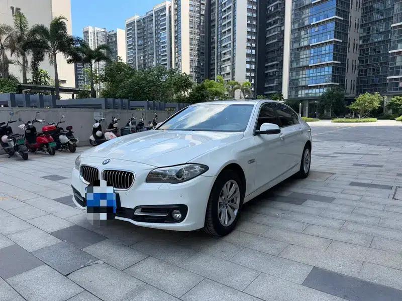 2014 BMW 5 Series 520Li Elegant Edition — миниатюра 1