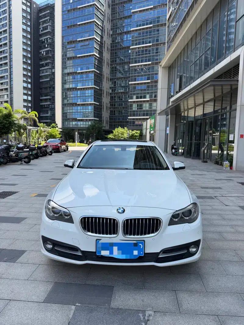 2014 BMW 5 Series 520Li Elegant Edition — миниатюра 2