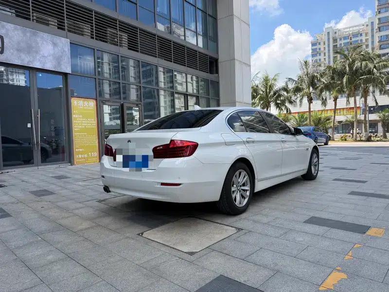 2014 BMW 5 Series 520Li Elegant Edition — миниатюра 5