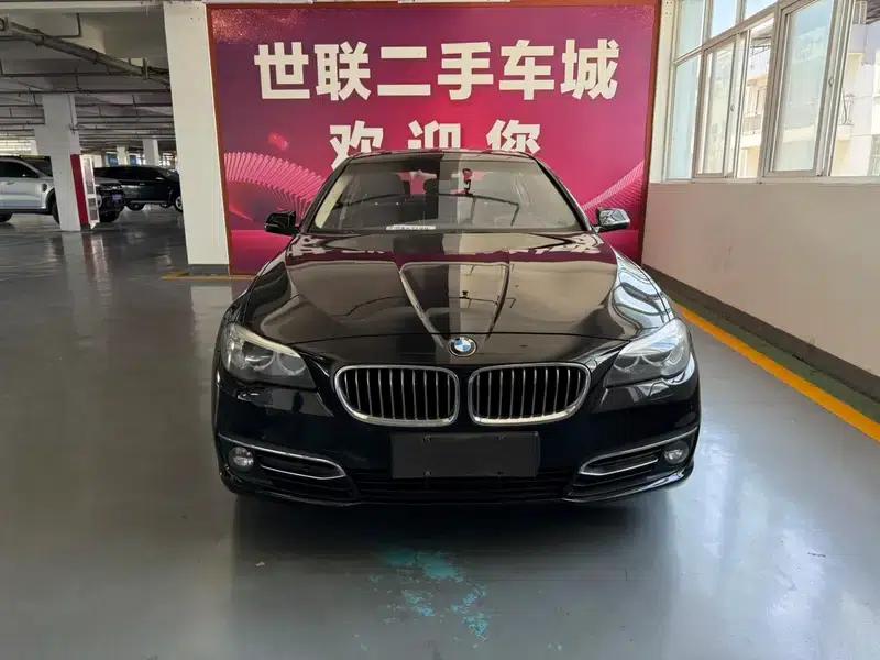 2017 BMW 5 Series 525Li Luxury Design Package — миниатюра 2
