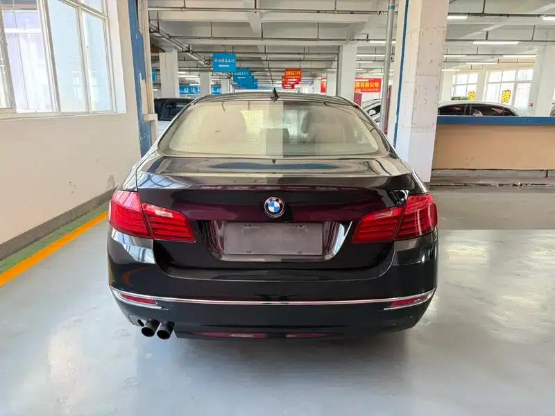 2017 BMW 5 Series 525Li Luxury Design Package — миниатюра 3