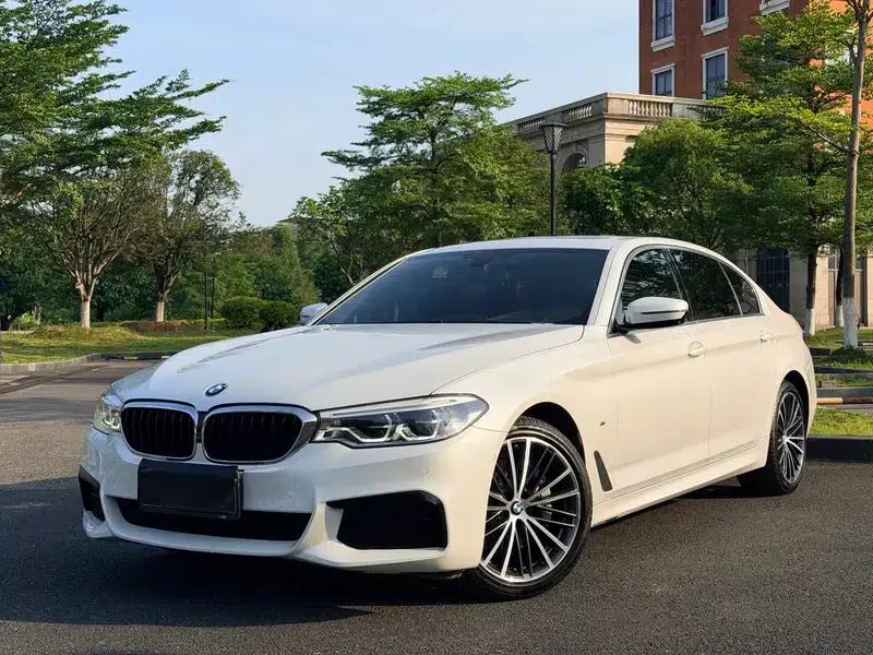 2020 BMW 5 Series 530Li Luxury M Sport Package — миниатюра 1