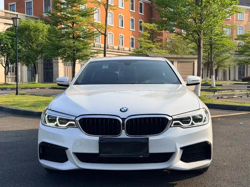 2020 BMW 5 Series 530Li Luxury M Sport Package — миниатюра 2
