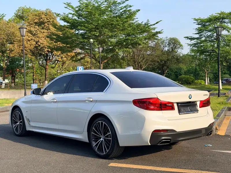 2020 BMW 5 Series 530Li Luxury M Sport Package — миниатюра 4