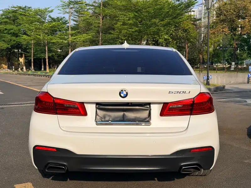 2020 BMW 5 Series 530Li Luxury M Sport Package — миниатюра 5