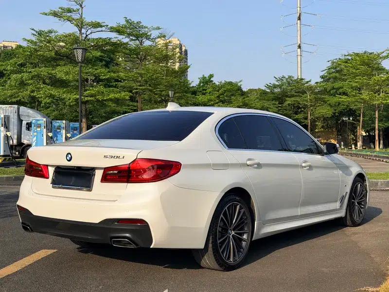 2020 BMW 5 Series 530Li Luxury M Sport Package — миниатюра 6