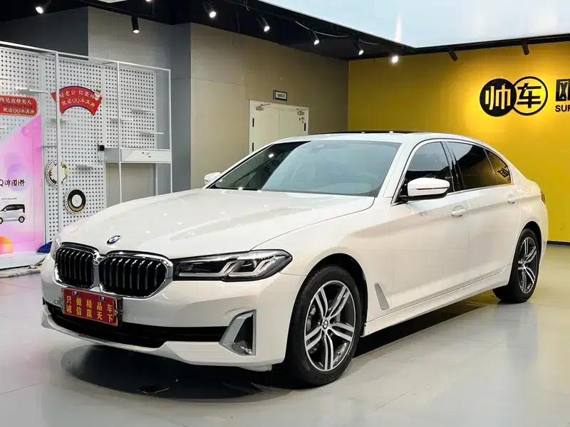 BMW 5 Series 2021 530Li Leading Luxury Package — миниатюра 1