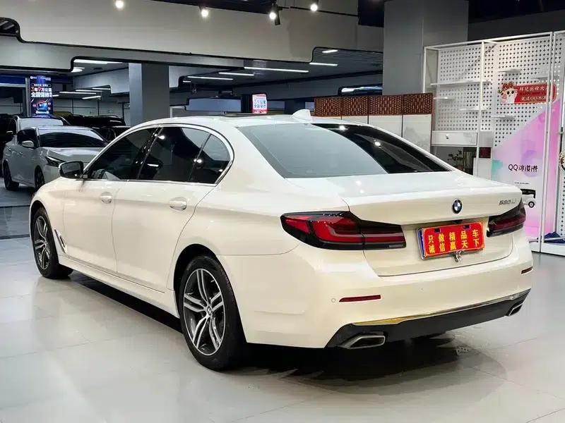 BMW 5 Series 2021 530Li Leading Luxury Package — миниатюра 4