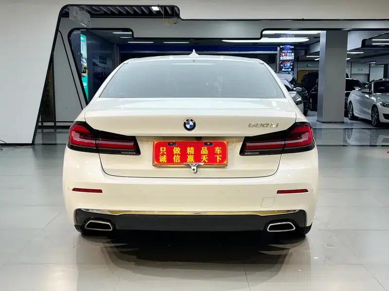 BMW 5 Series 2021 530Li Leading Luxury Package — миниатюра 5