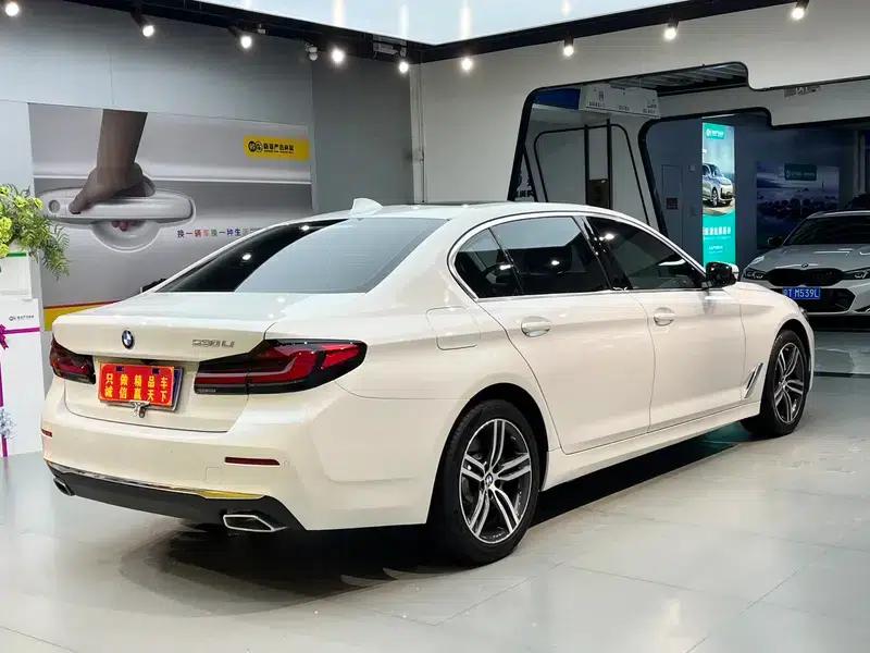 BMW 5 Series 2021 530Li Leading Luxury Package — миниатюра 6