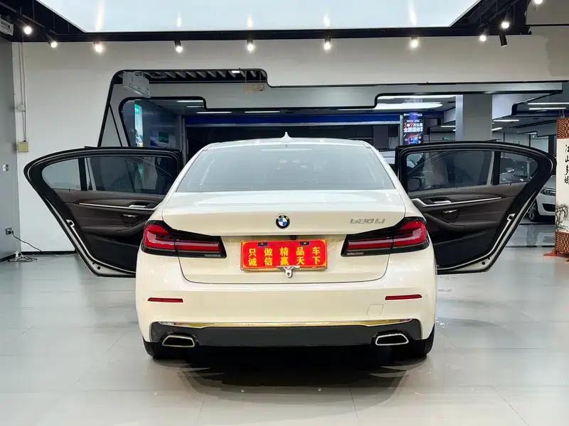 BMW 5 Series 2021 530Li Leading Luxury Package — миниатюра 8