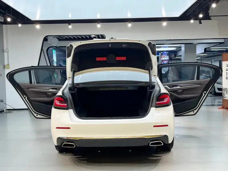 BMW 5 Series 2021 530Li Leading Luxury Package — миниатюра 9