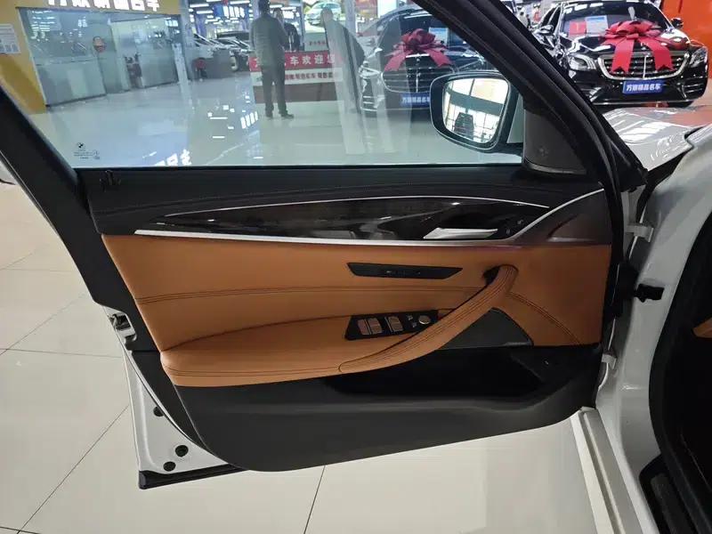2020 BMW 5 Series 530Li Luxury M Sport Package — миниатюра 20