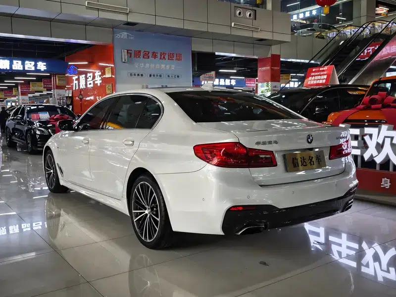 2020 BMW 5 Series 530Li Luxury M Sport Package — миниатюра 4
