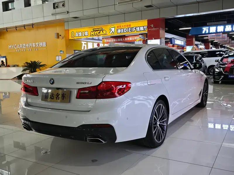 2020 BMW 5 Series 530Li Luxury M Sport Package — миниатюра 6