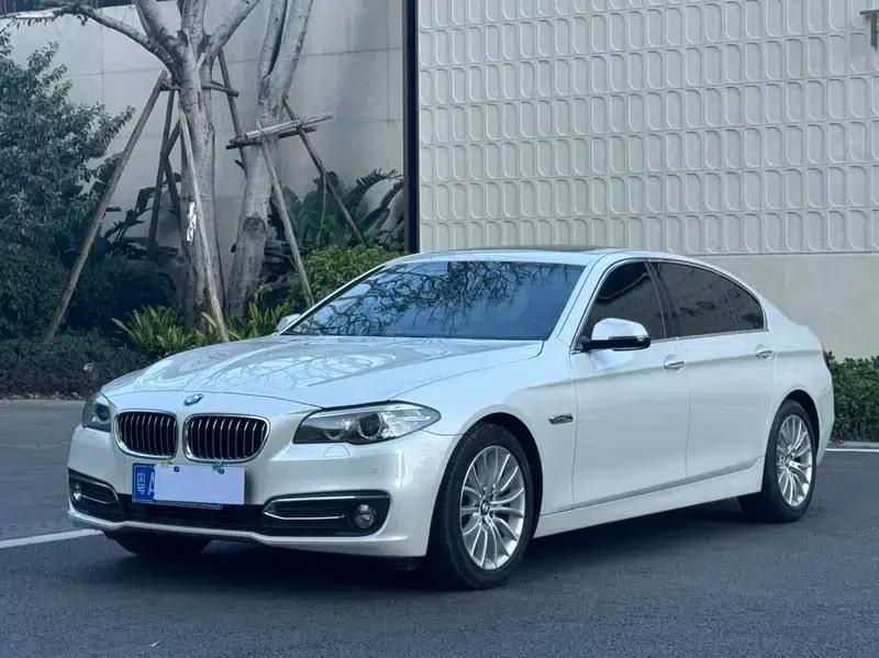 2014 BMW 5 Series 525Li Luxury Design Package — миниатюра 1