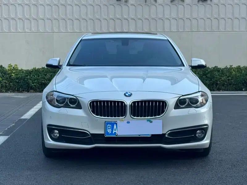 2014 BMW 5 Series 525Li Luxury Design Package — миниатюра 2