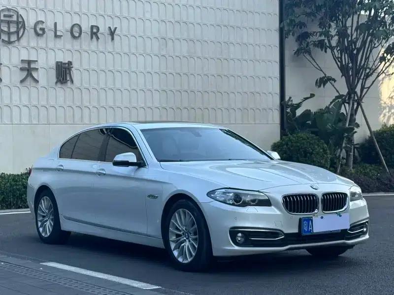 2014 BMW 5 Series 525Li Luxury Design Package — миниатюра 3